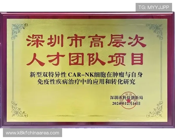 如何通过K8凯发的网址安全登录，避免钓鱼网站和账号风险